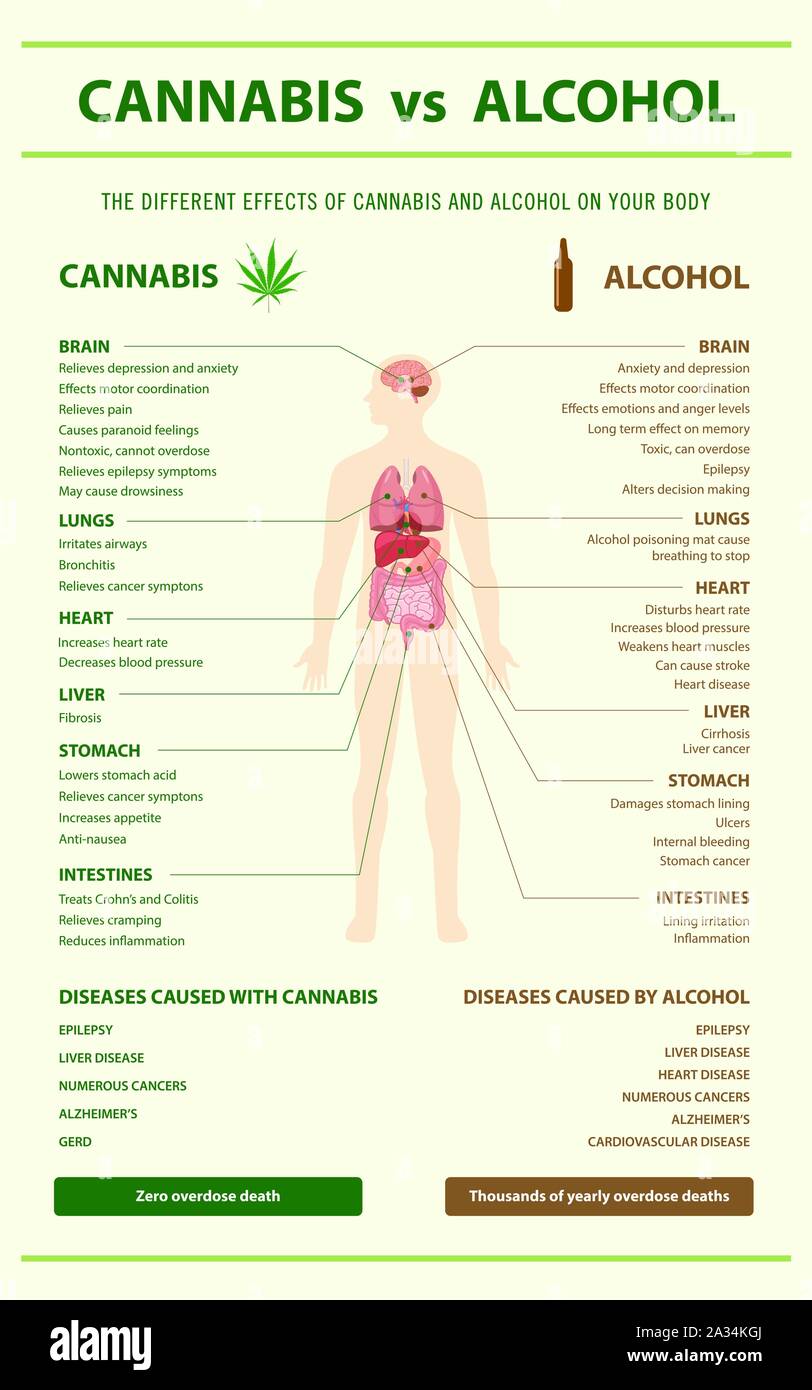 Le Cannabis vs alcool illustration infographique verticale sur le cannabis comme produits de médecine alternative et de thérapie chimique, les soins médicaux et les scien Illustration de Vecteur