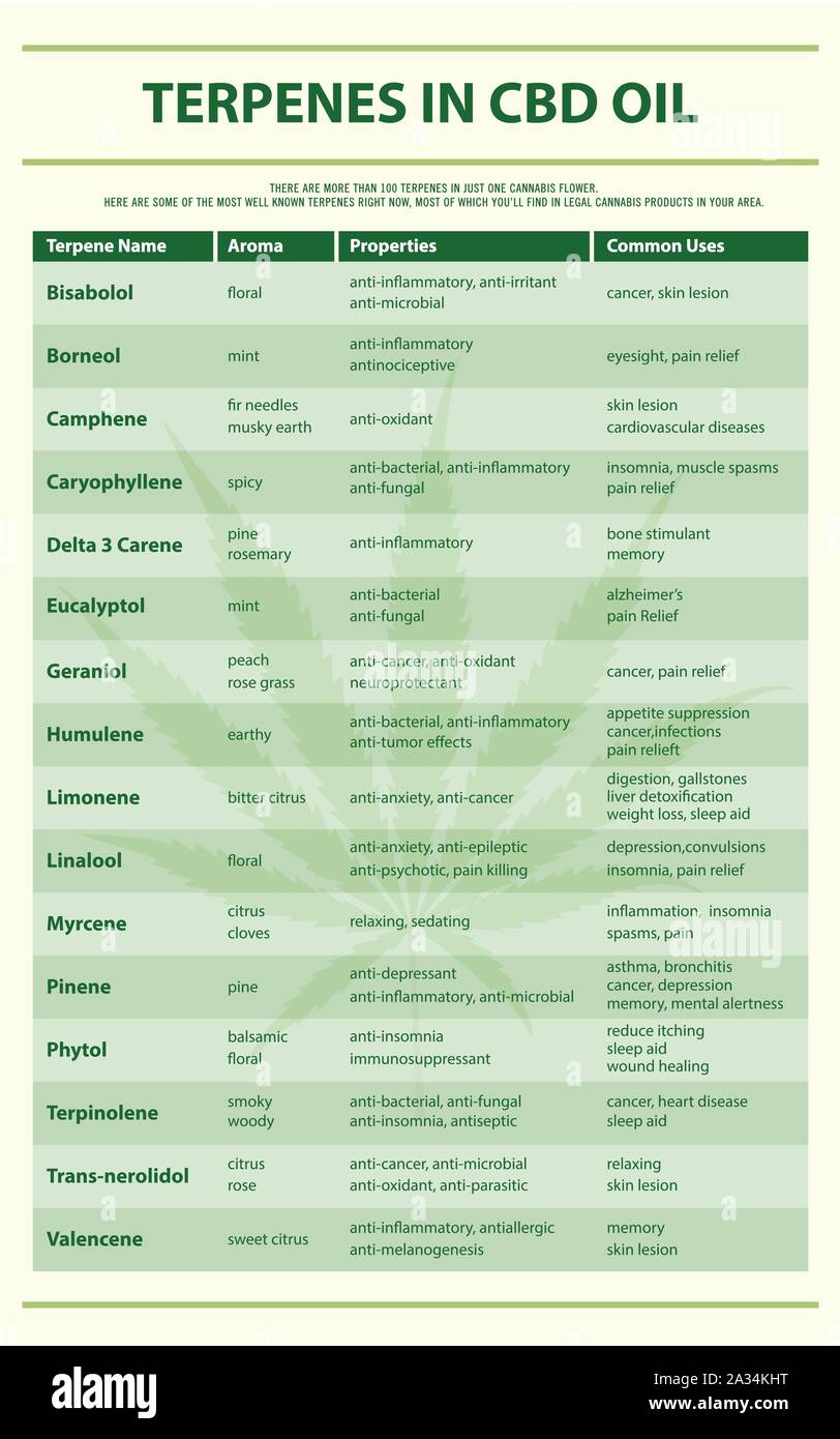 Les terpènes de CBD illustration infographique vertical de l'huile sur le cannabis comme produits de la médecine alternative, de la santé et des sciences médicales. Illustration de Vecteur