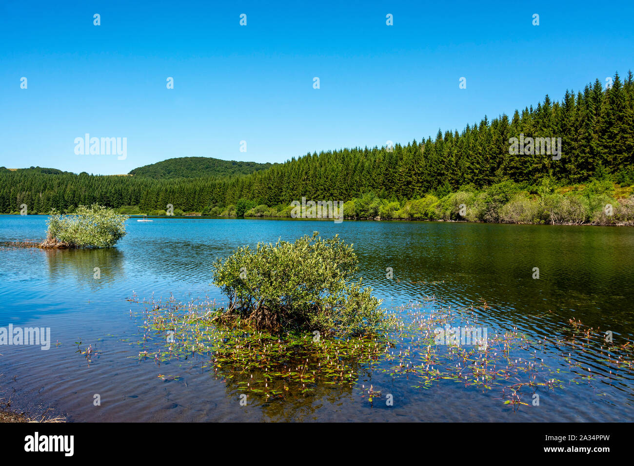 Le lac de Montcineyre situé dans le Parc Naturel Régional des Volcans d'Auvergne, Puy de Dome, Auvergne-Rhone-Alpes, France Banque D'Images