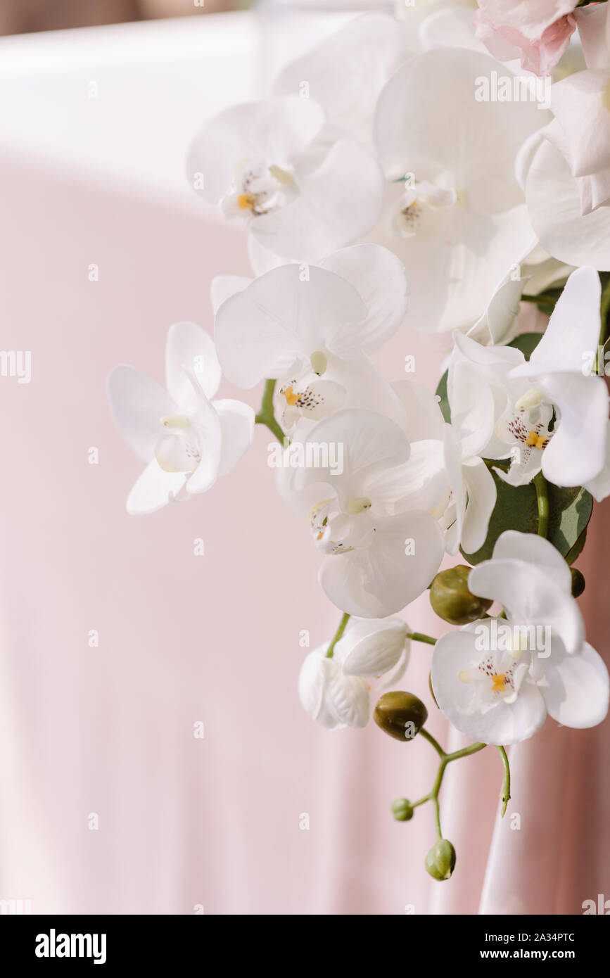 Le tableau de l'époux et l'épouse, c'est décoré avec des orchidées blanches. Direction générale des produits de luxe grand orchid sur table nappe rose Banque D'Images