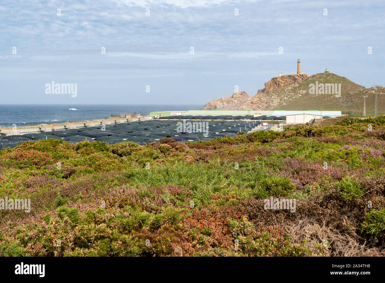 Stolt Sea Farm - un poisson sur terre ferme à Cabo Vilan, Embach, Galice, Espagne Banque D'Images