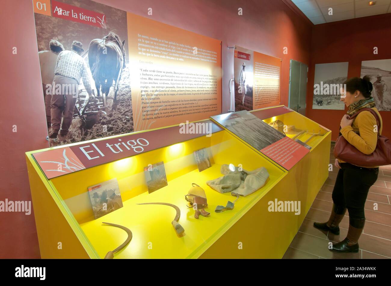Centre thématique de la campagne andalouse, Alameda, Malaga-province, région d'Andalousie, Espagne, Europe. Banque D'Images