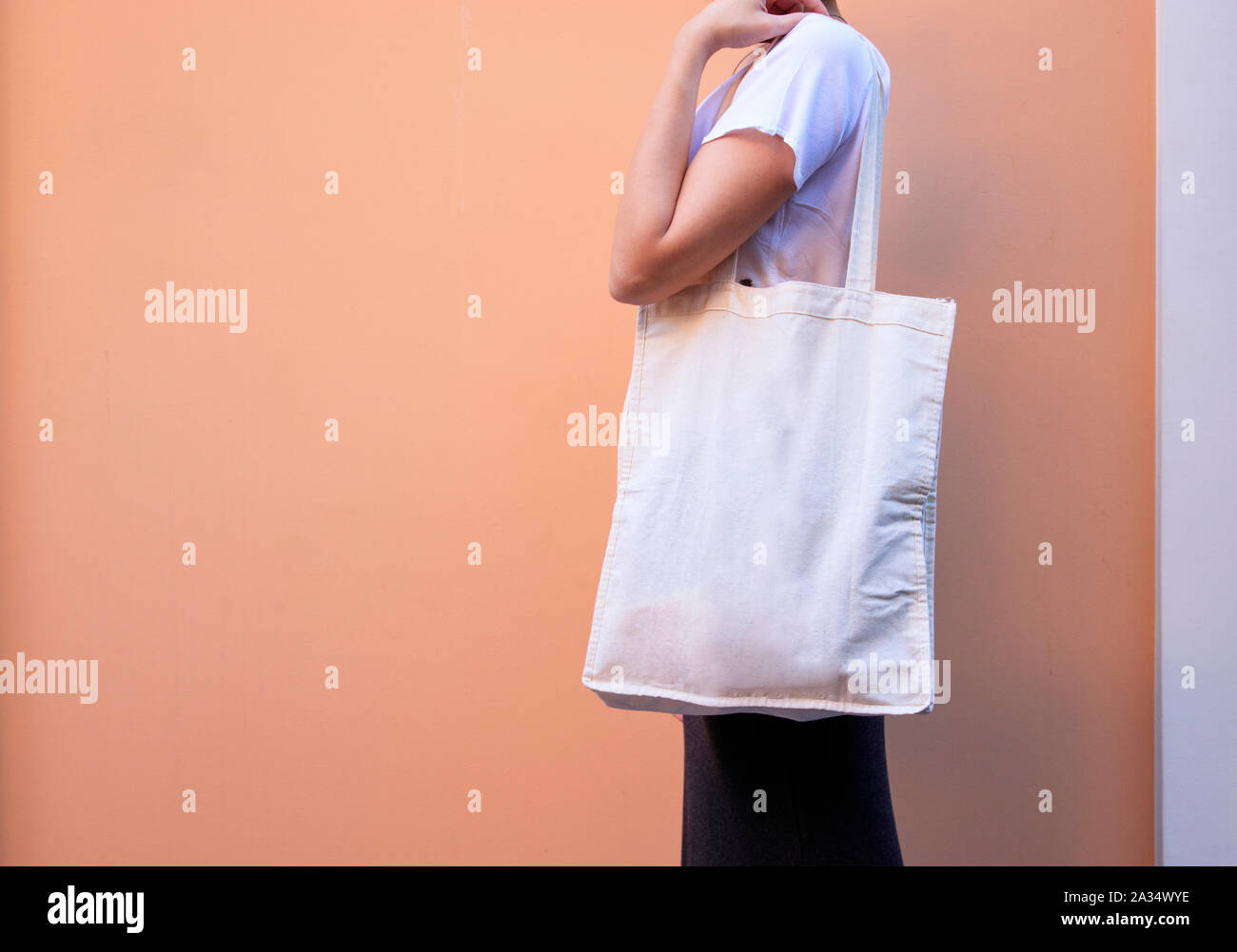 Blanc Blanc Sac en tissu tissu toile shopping sur femme tenant une maquette et modèle de couleur isolées Banque D'Images