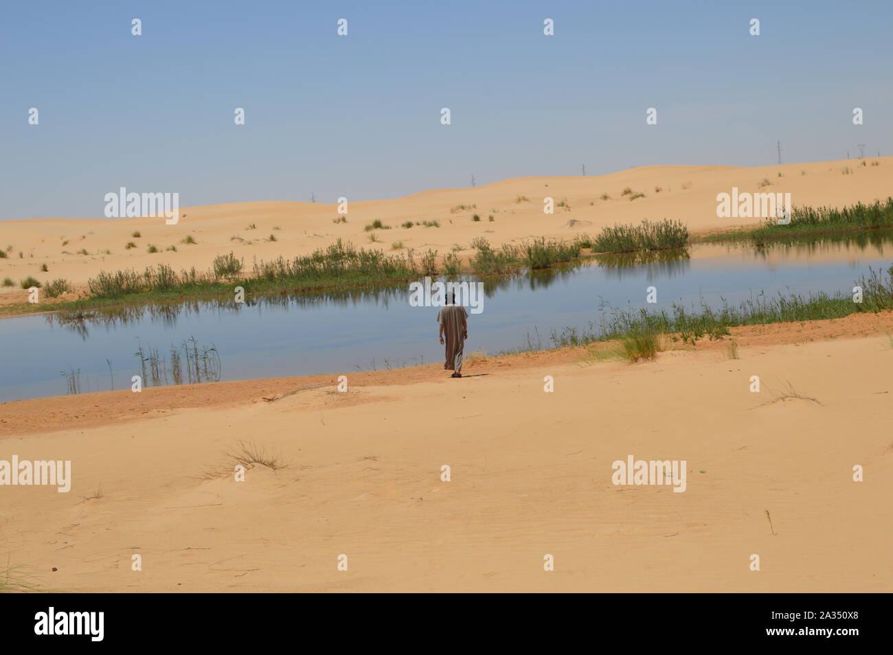 Lac sur route du désert près de Touggourt Algérie Banque D'Images