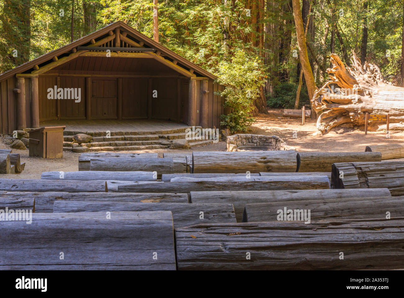 Des bancs fabriqués à partir de pins. Big Basin Redwoods State Park, dans le comté de Santa Cruz, Californie, USA. Banque D'Images