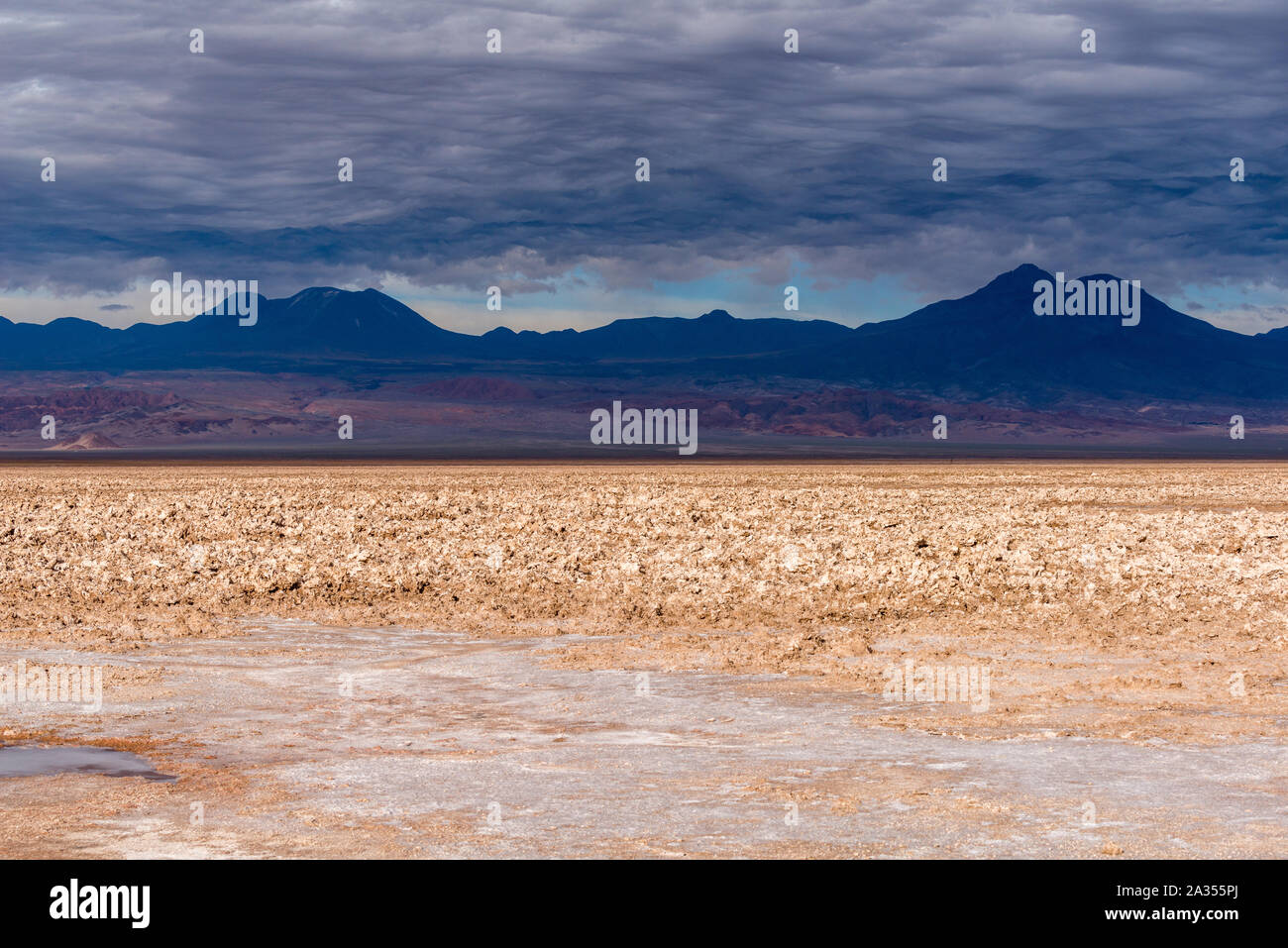 La laguna de Chaxa Lac Chaxa, Salar de Atacama, Désert d'Atacama, San Pedro de Atacama, Región de Antofagasta, Chili, Amérique Latine Banque D'Images