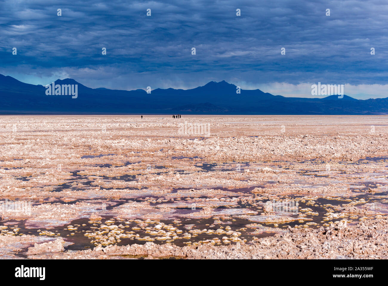 La laguna de Chaxa Lac Chaxa, Salar de Atacama, Désert d'Atacama, San Pedro de Atacama, Región de Antofagasta, Chili, Amérique Latine Banque D'Images