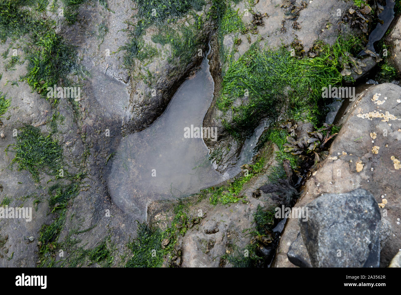 Isle of Skye Banque D'Images