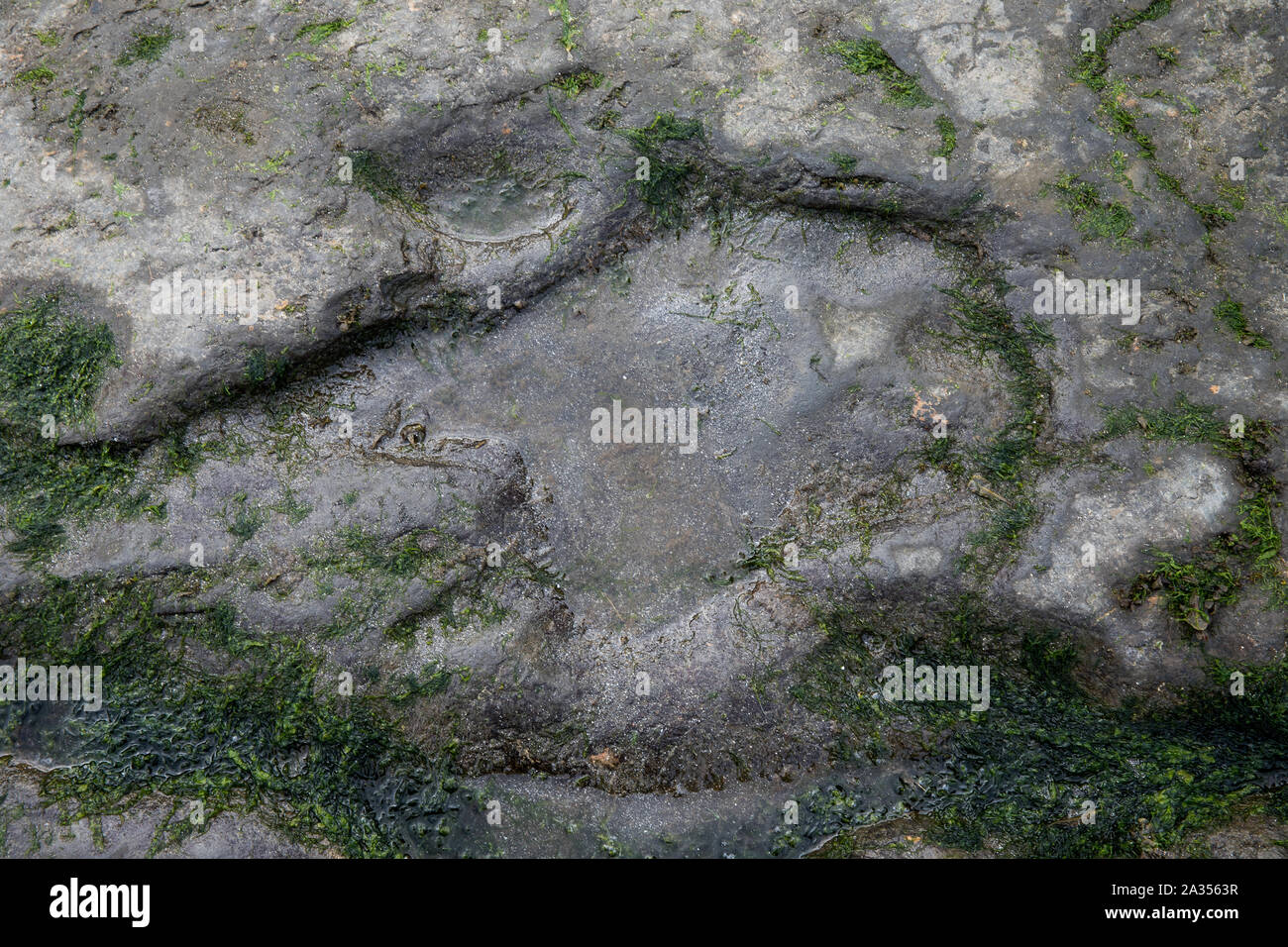 Isle of Skye Banque D'Images