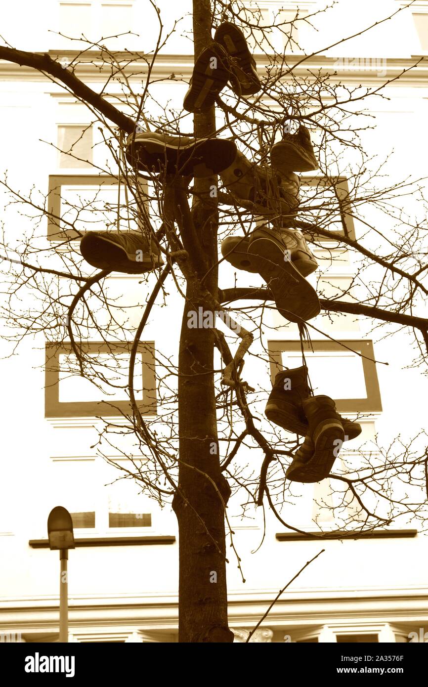 Shoefiti Shoe tossing usé chaussures dans un arbre art urbain Banque D'Images