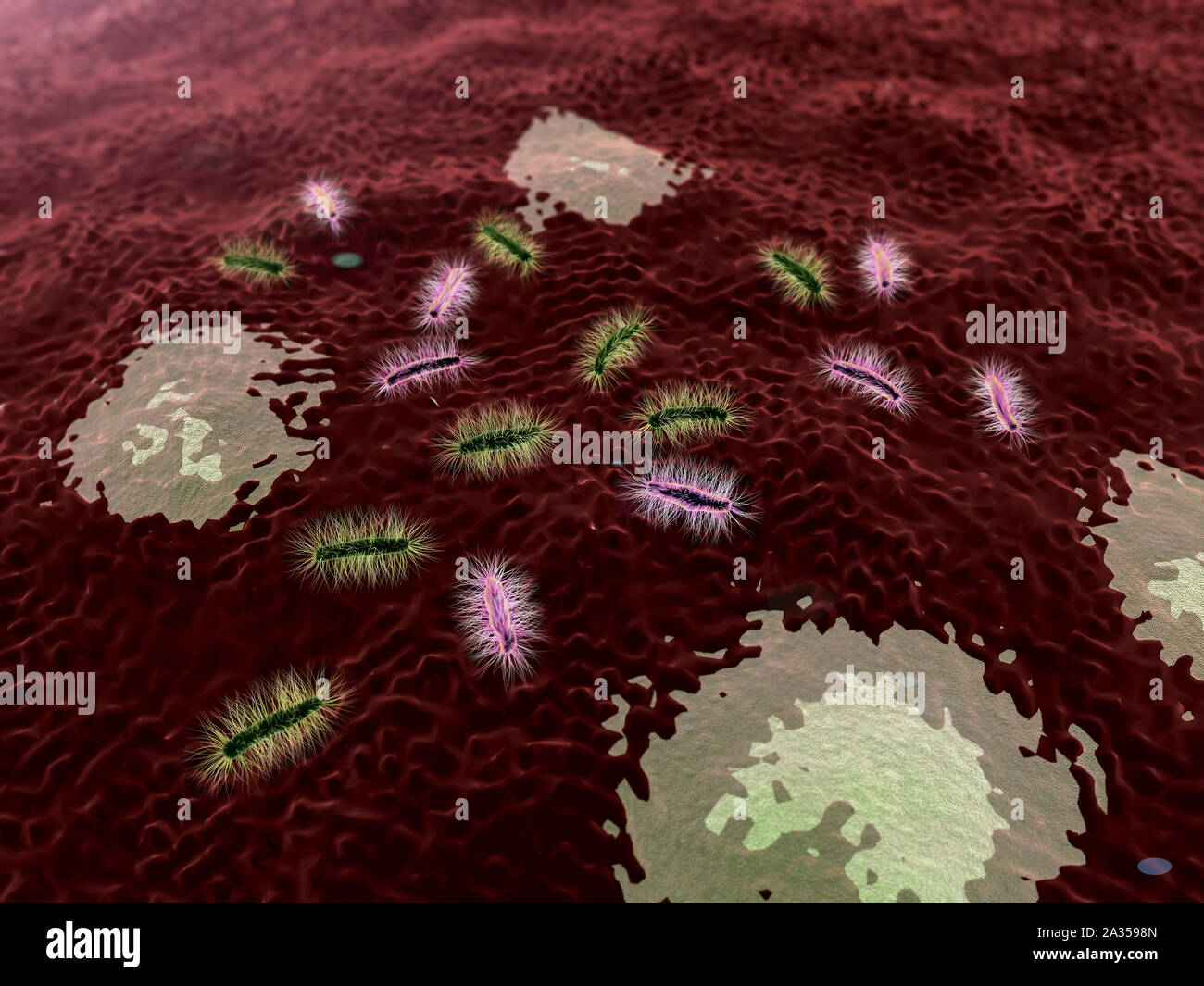 Les virus et bactéries sous microscope en rendu 3D, les bactéries et les virus Banque D'Images