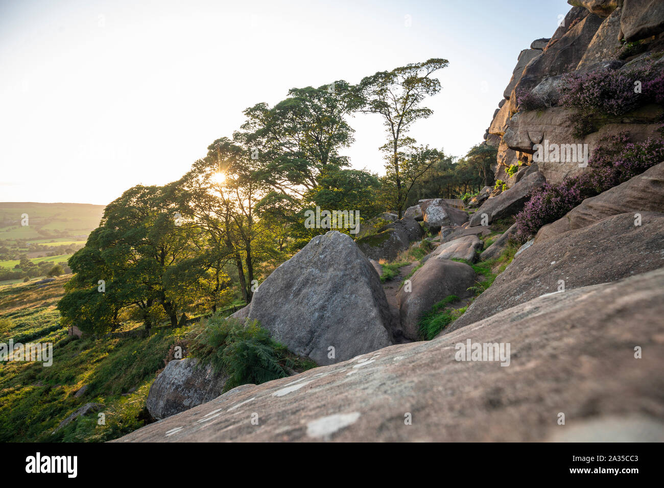 Coucher de soleil derrière les arbres pittoresques à Ramshaw Rocks at les blattes. Peak District en Royaume-Uni Banque D'Images