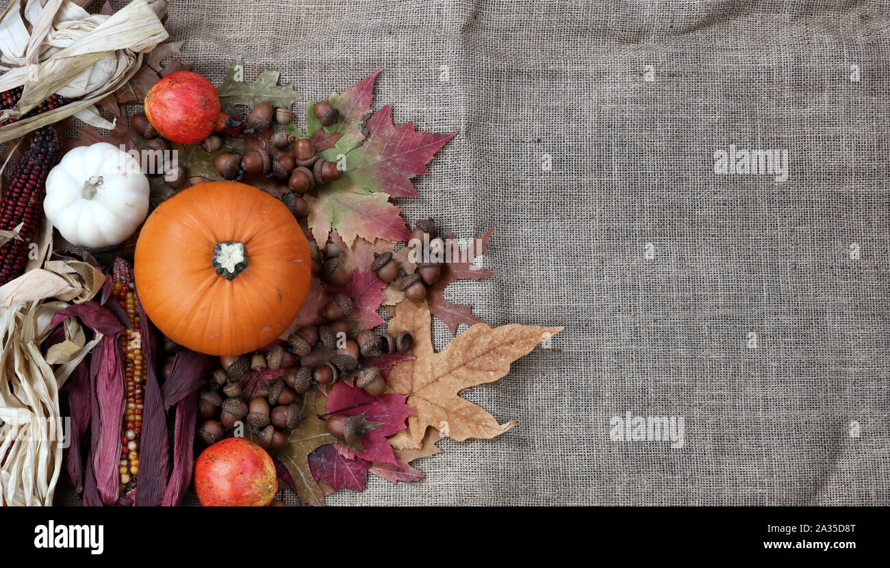 Potiron Thanksgiving avec les glands et le maïs en tissu jute Banque D'Images