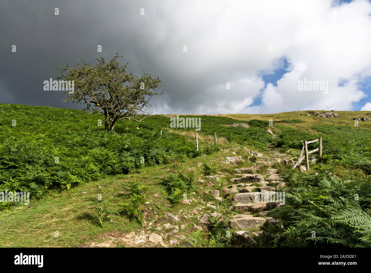 Le Lake District, Cumbria, au Royaume-Uni. Banque D'Images