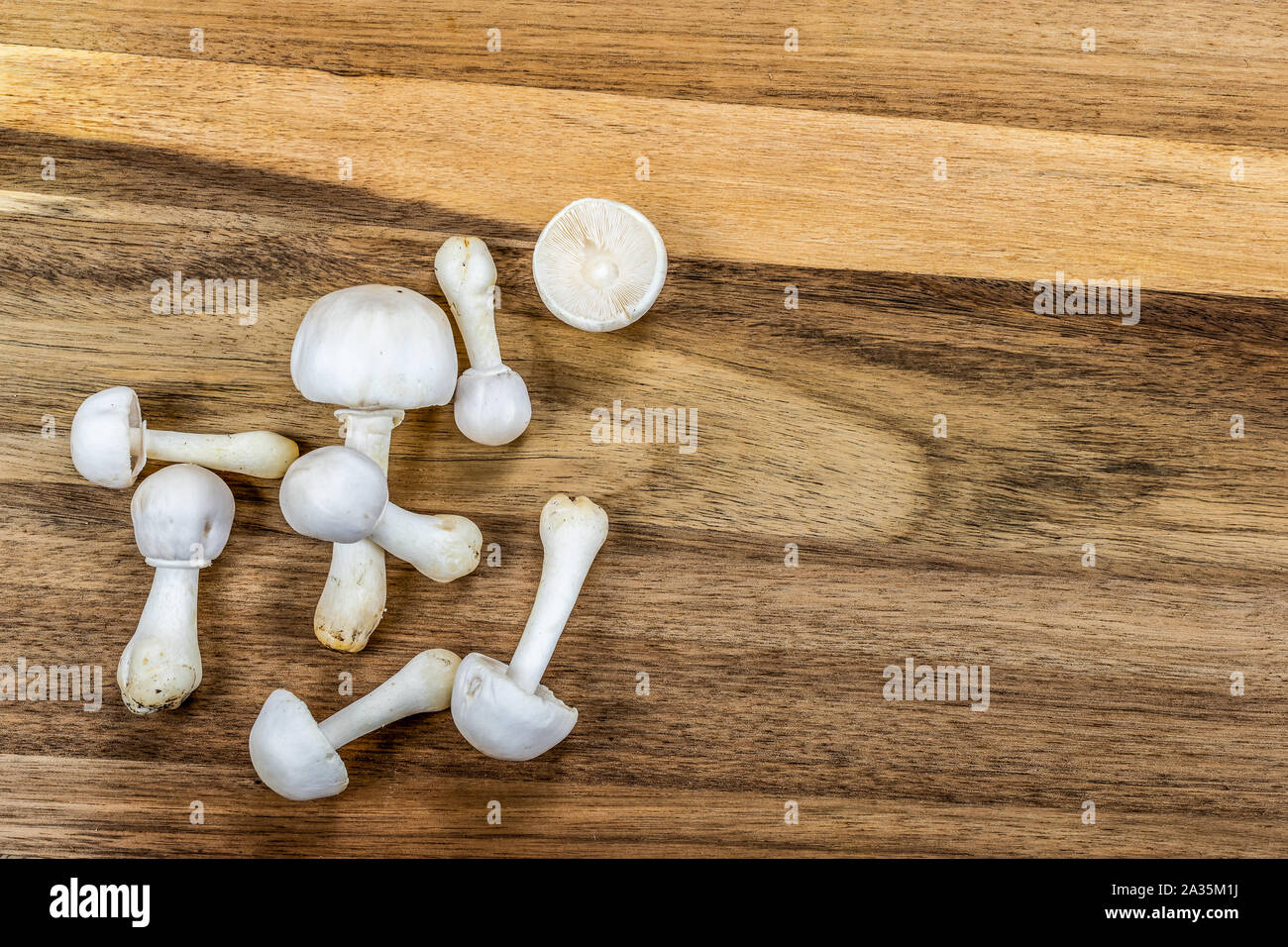 Un groupe de champignons blanc isolé sur fond de bois. Banque D'Images