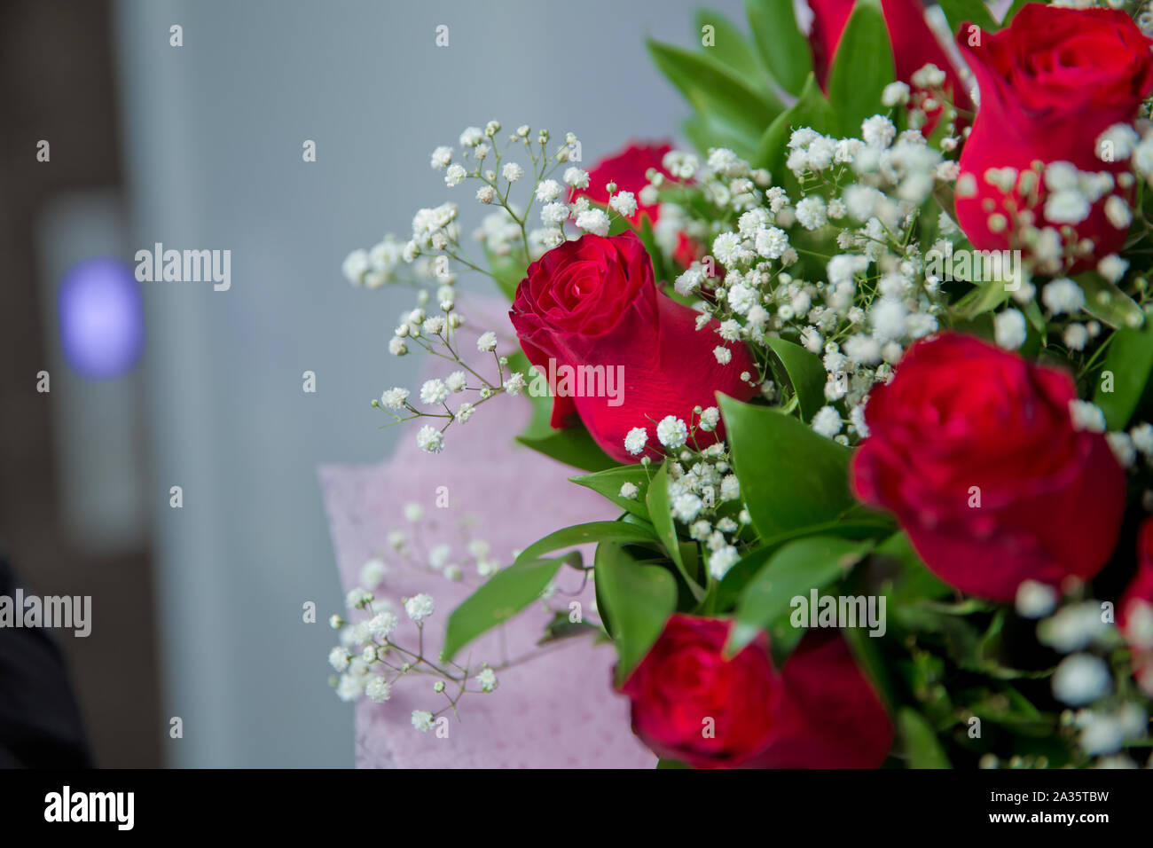 Bouquet de roses rouges sur un fond de bois foncé et blanc. Vue d'en haut . Bouquet de rose rouge. Banque D'Images