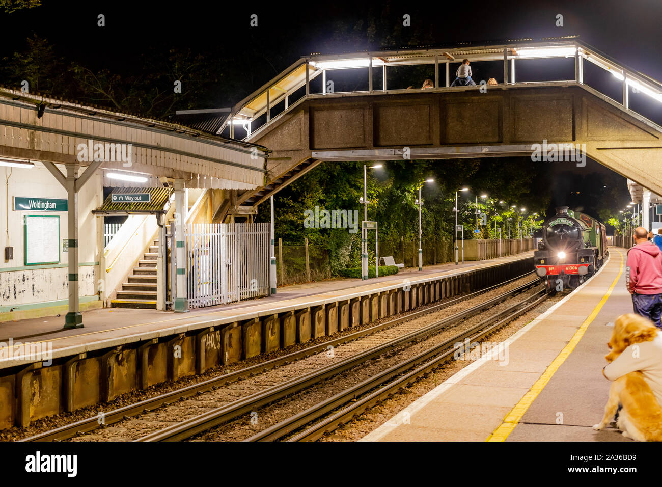 Train à vapeur britannique vert Automne Surrey Banque D'Images