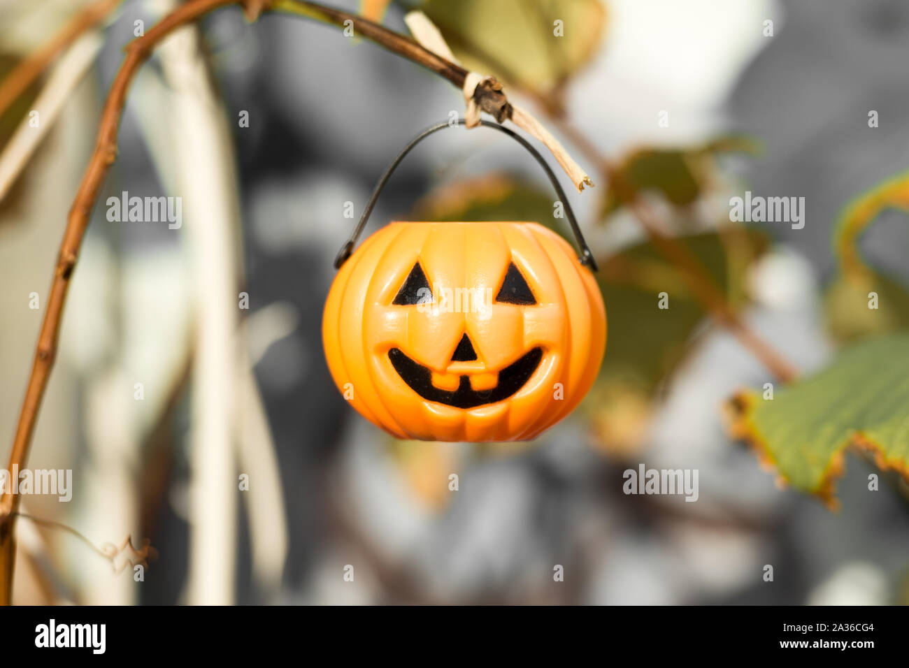 Jouet en plastique Halloween jack-o'-lantern smiling et pendaison sur la tige d'une plante dans un jardin de fleurs. Banque D'Images