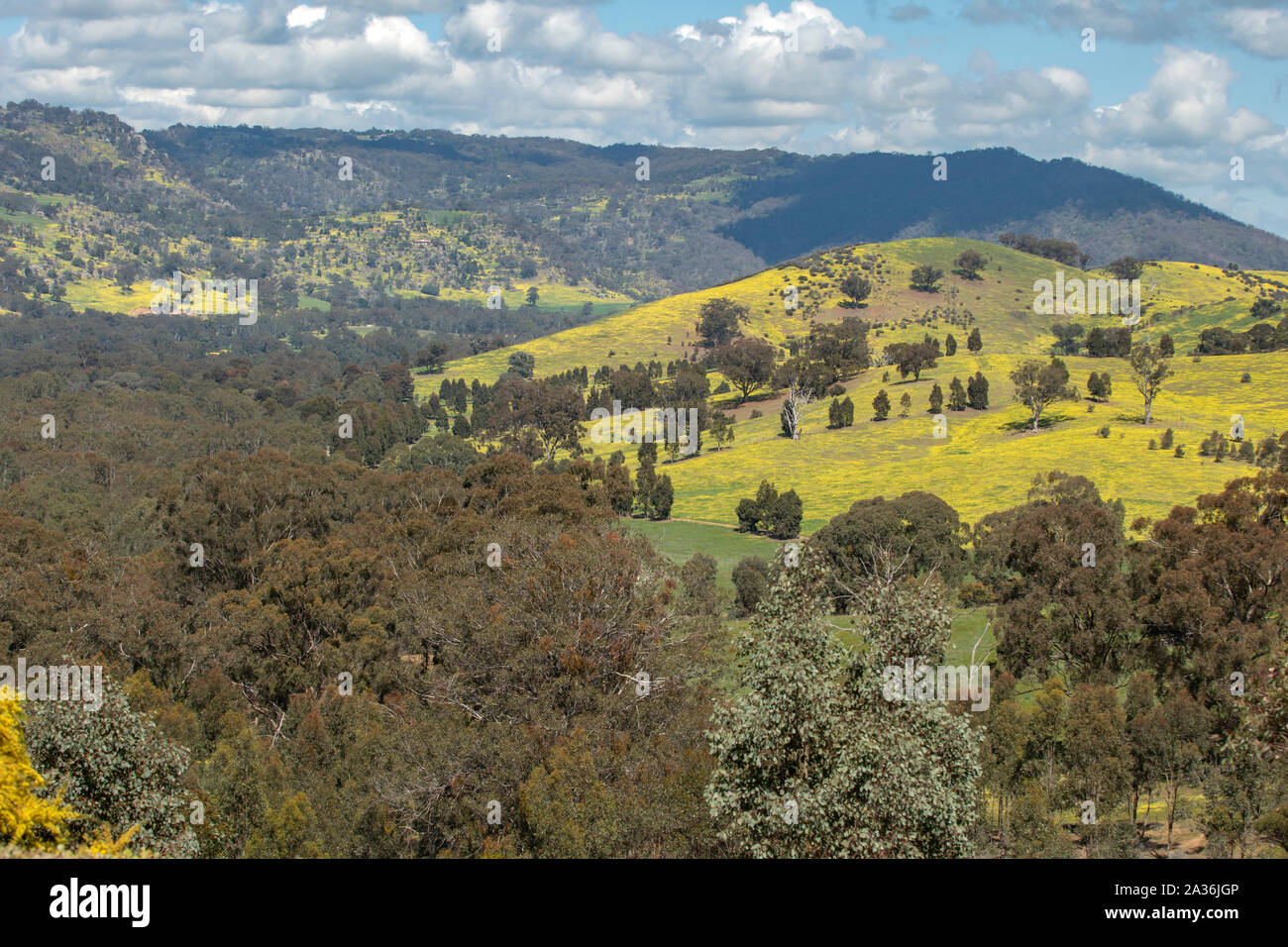 Strathbogies sud de Anzac Hill Lookout, Seymour, Victoria Banque D'Images