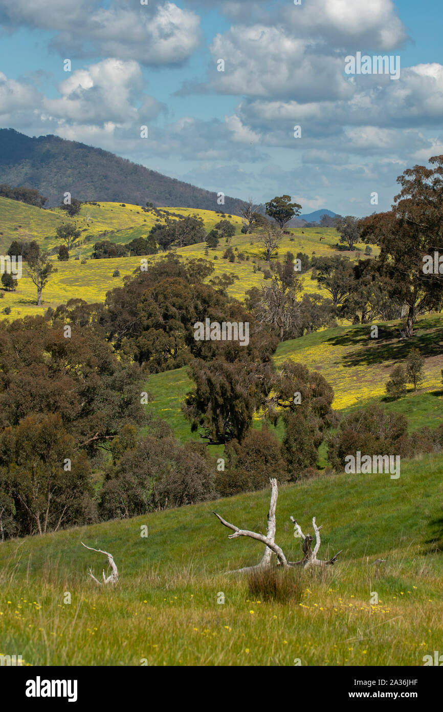 Strathbogies sud de Anzac Hill Lookout, Seymour, Victoria Banque D'Images