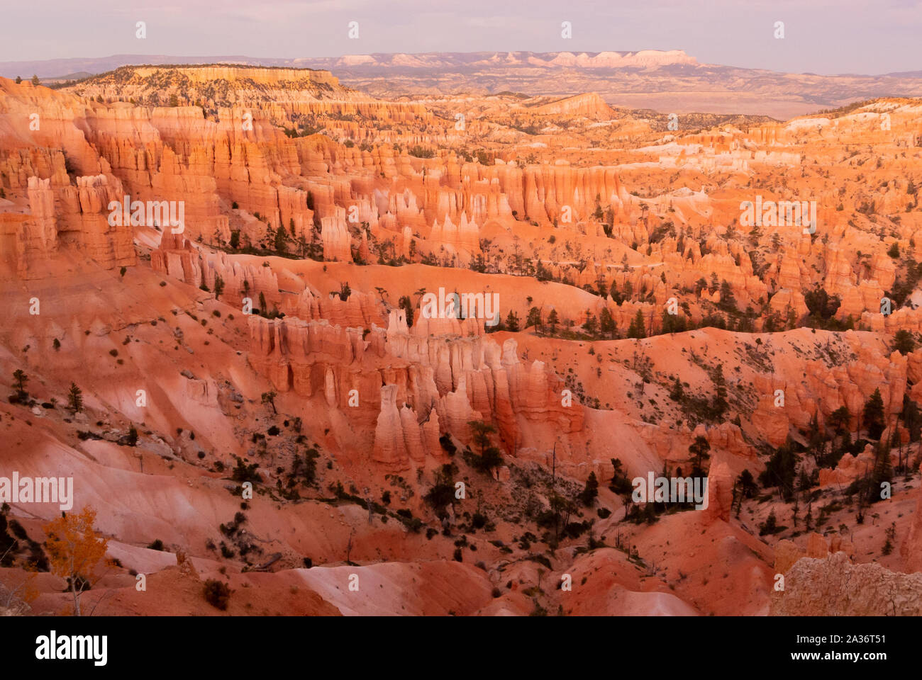 Un paysage avec des cheminées le long sentier en boucle Navajo à Bryce Canyon National Park, Utah, United States of America, usa Banque D'Images