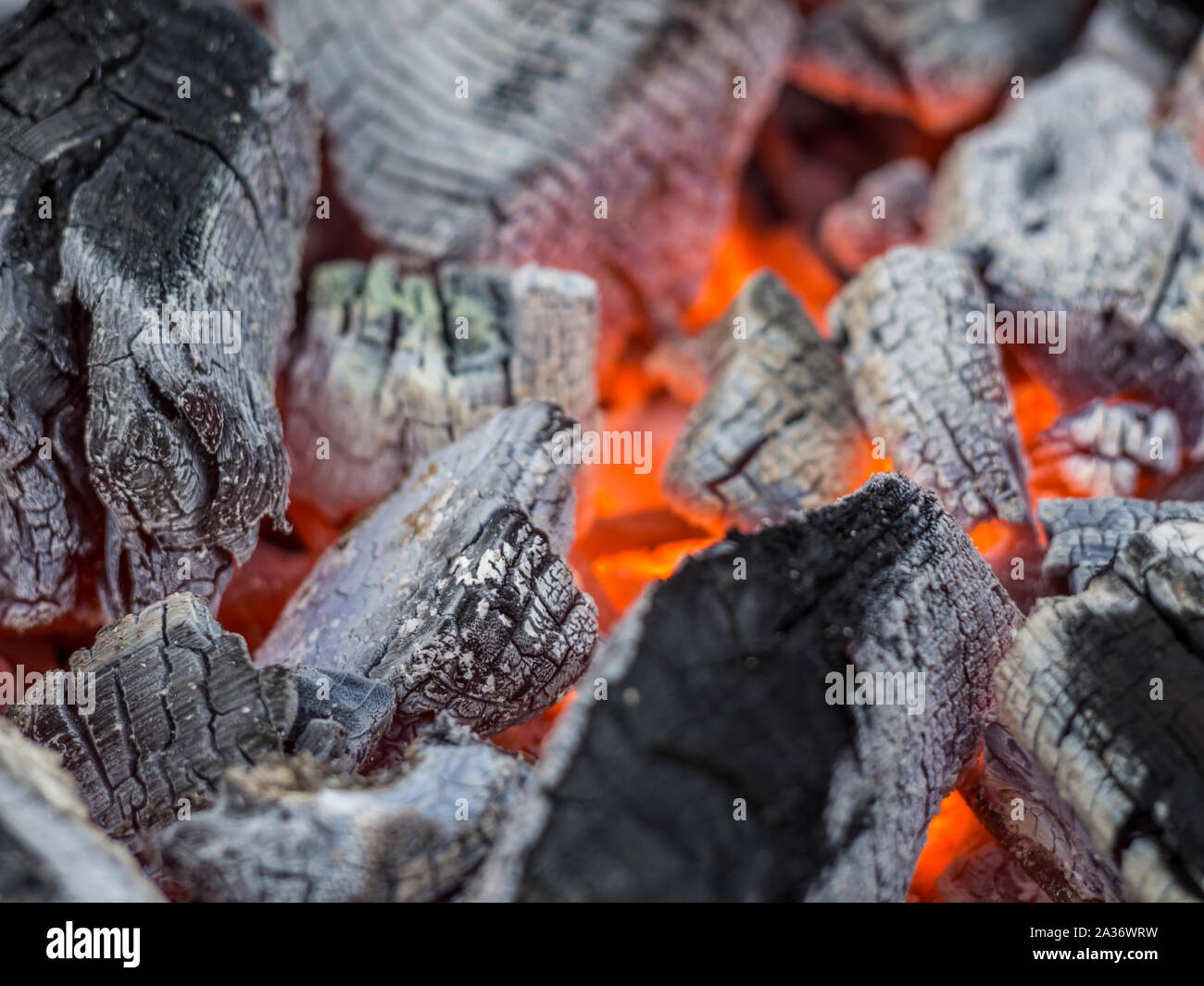 Le feu brûlant du charbon de bois Banque D'Images