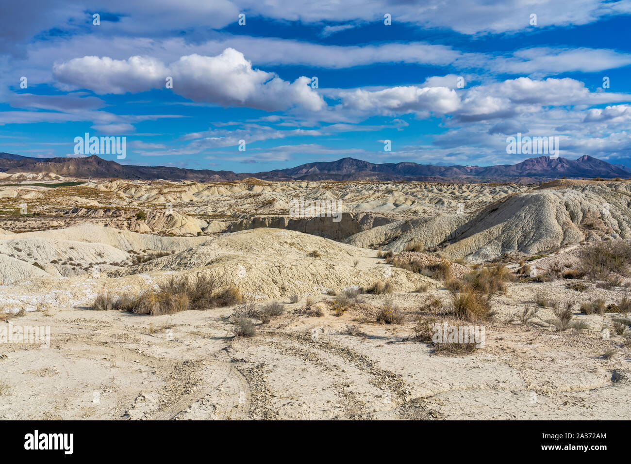 Les BADLANDS de Abanilla et Mahoya près de Murcia en Espagne est un domaine où un paysage lunaire a été formé par la force érosive de l'eau Banque D'Images