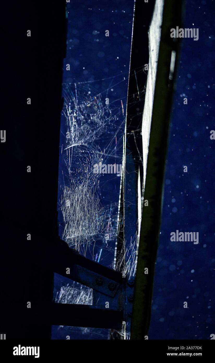 Spider web et d'araignées et la pluie sur nuit de tempête dans les chevrons UK Banque D'Images