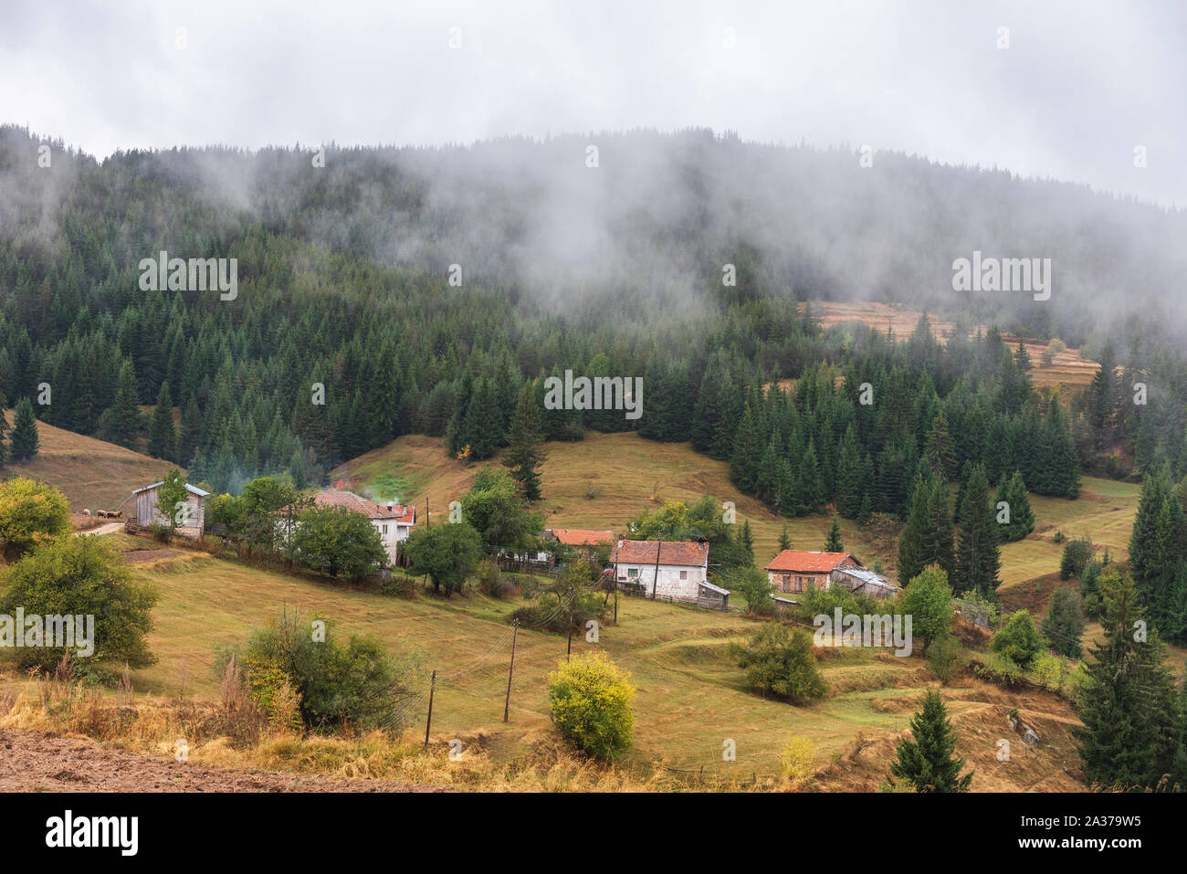 Jour de l'automne nuageux Rhodopes, Bulgarie Banque D'Images