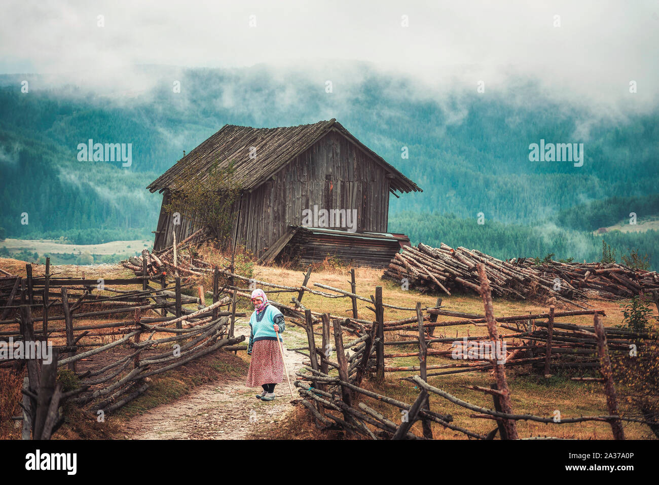 Vieille femme marchant à travers la route de haute montagne entre les barrières en bois. Scène d'automne nuageux rurales plus haut village de la Bulgarie - Ortsevo Banque D'Images