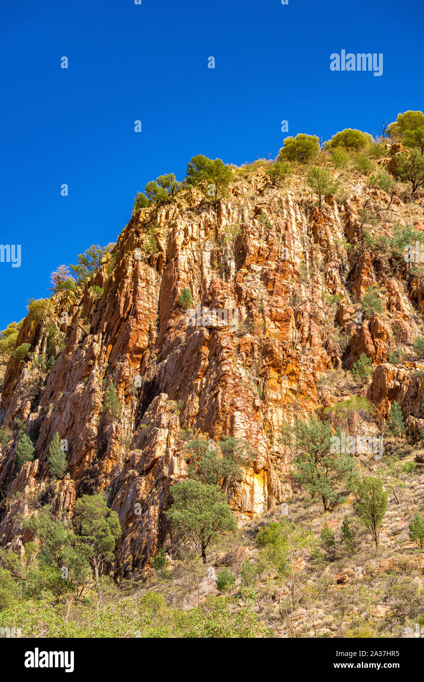 Jessie Gap dans l'Est des MacDonnell, située à l'est d'Alice Springs en Australie centrale. Banque D'Images
