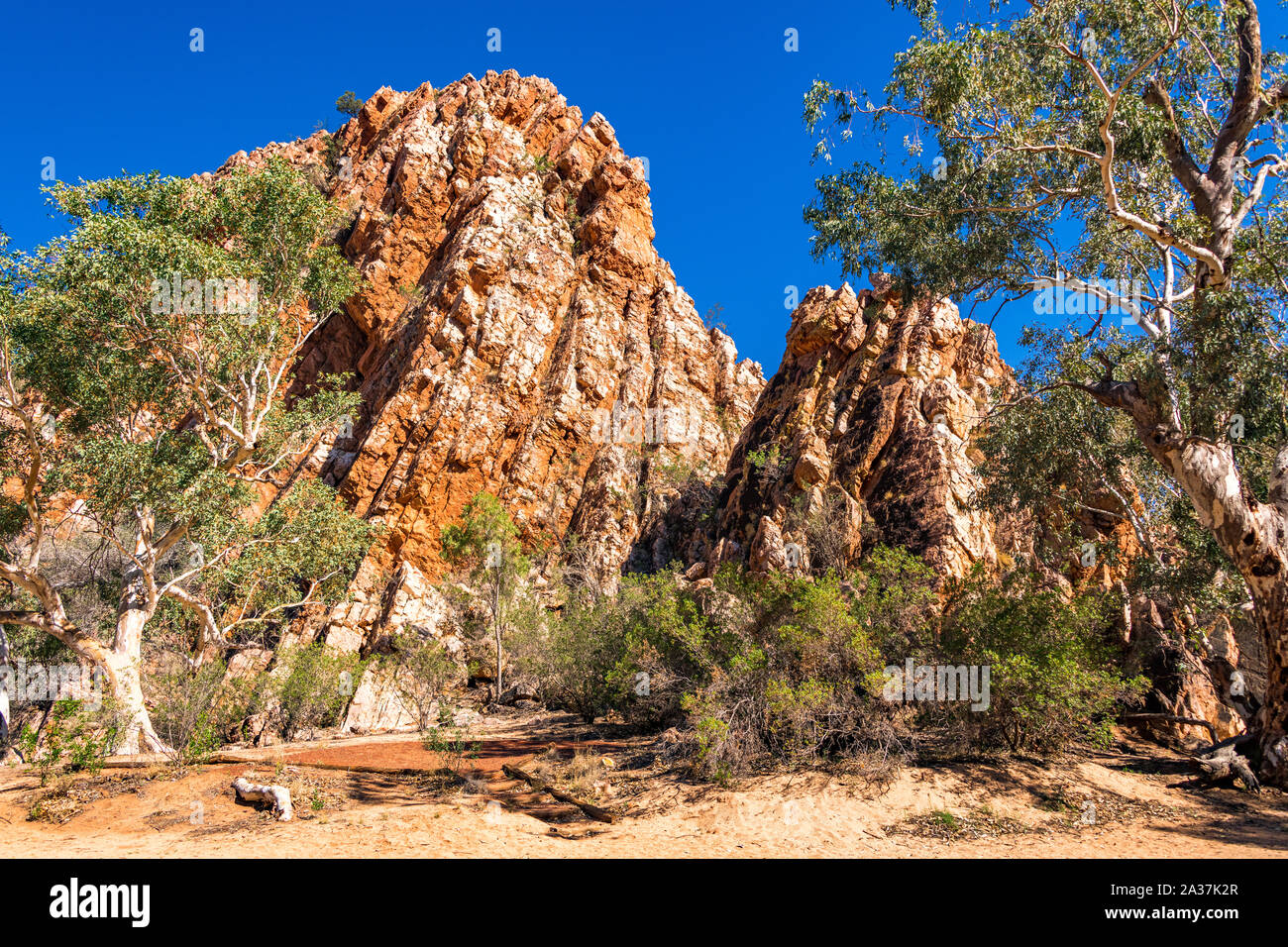 Jessie Gap dans l'Est des MacDonnell, située à l'est d'Alice Springs en Australie centrale. Banque D'Images