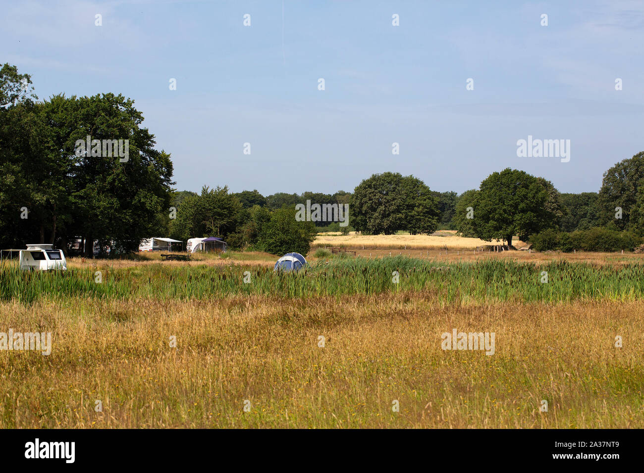 Paysage typique avec camp site de l'est une partie de la province néerlandaise d'Overijssel Banque D'Images