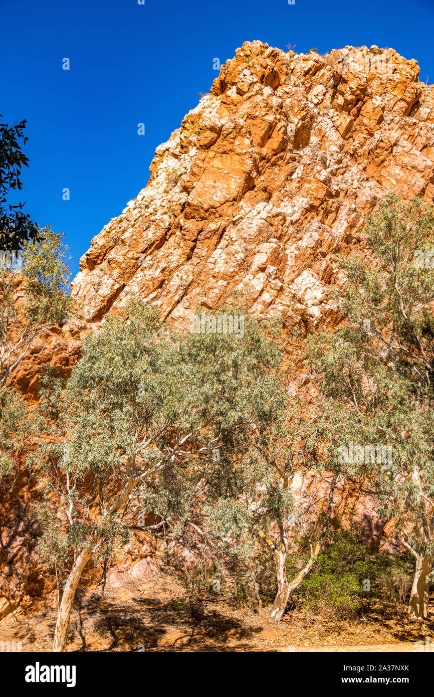 Jessie Gap dans l'Est des MacDonnell, située à l'est d'Alice Springs en Australie centrale. Banque D'Images