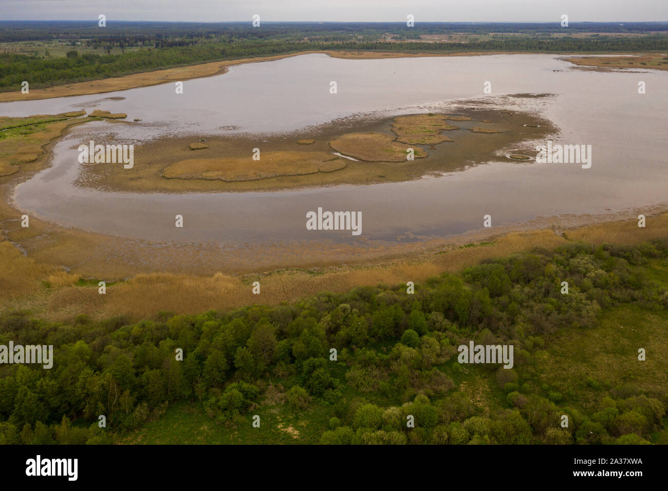 Vue de drone en été marais desséché Banque D'Images