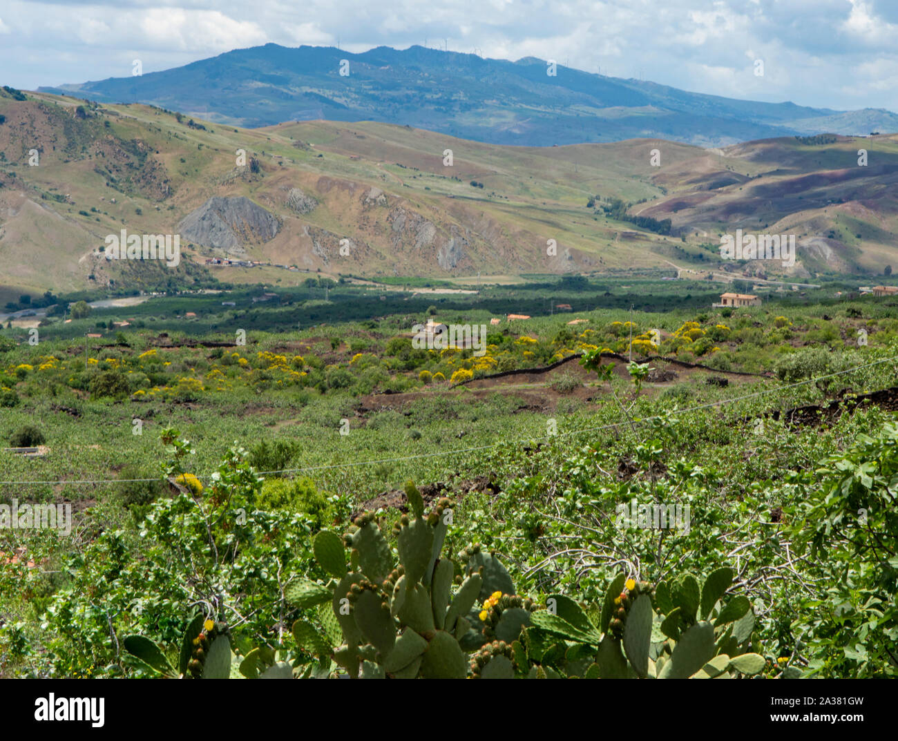 Paysage avec montagnes et vallée près de Bronte, pistachiers plantations sur l'île de la Sicile, au sud de l'Italie au printemps Banque D'Images