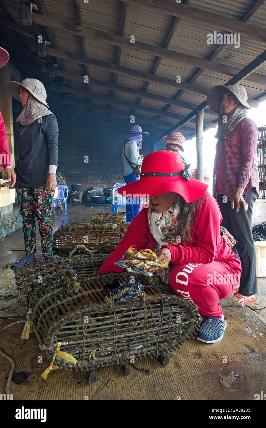 Cambodge, Kep - Janvier 2016 : marché du crabe, les femmes de la sélection des fruits de mer au marché du crabe Banque D'Images