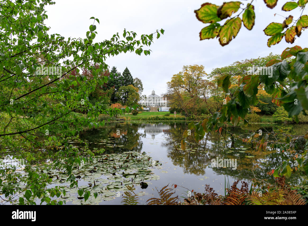 Vue sur le lac au jardin botanique avec le Musée et Jardins botaniques à l'arrière-plan Banque D'Images