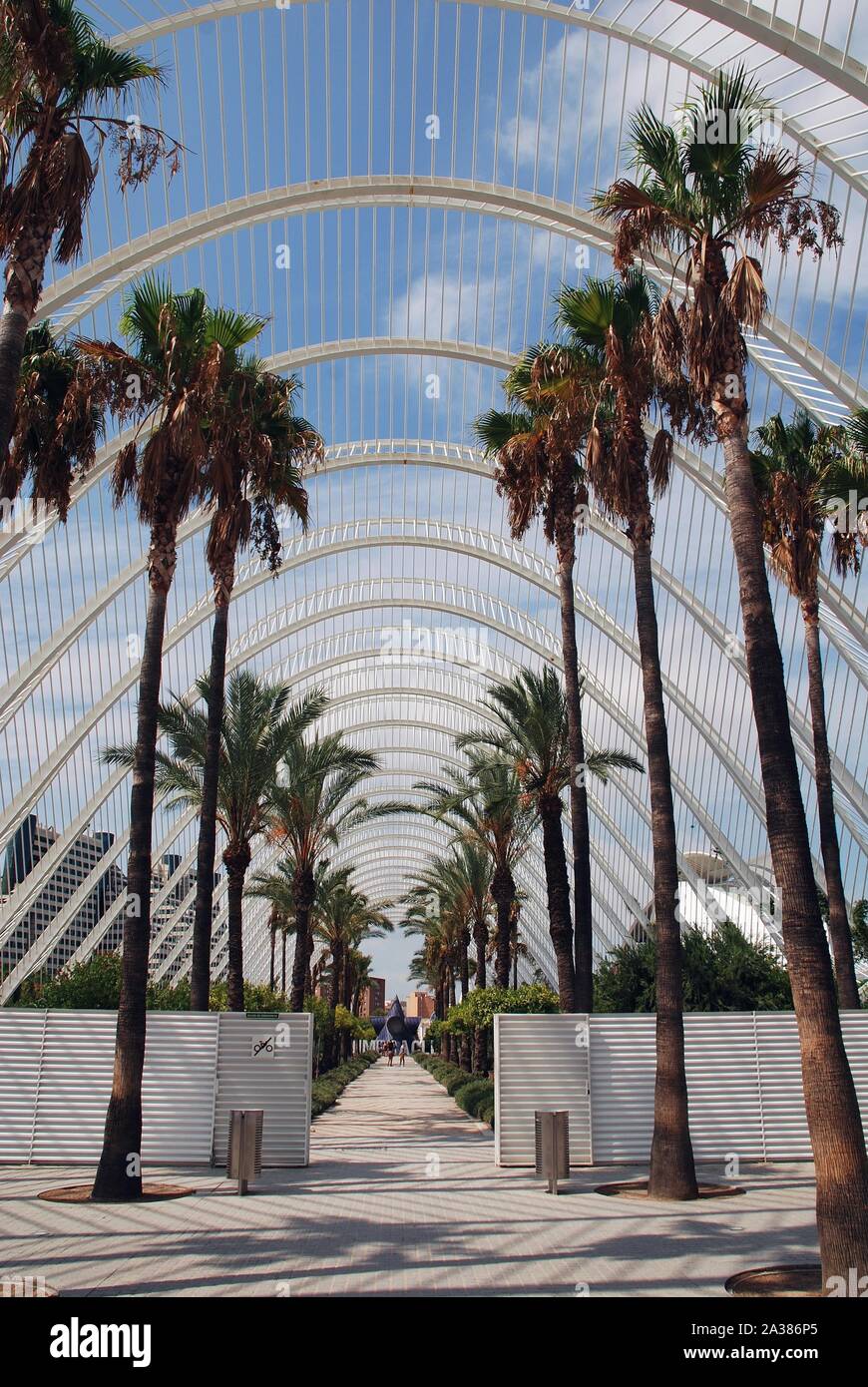 L'umbracle bâtiment à la Cité des Arts et des Sciences de Valence, Espagne, le 5 septembre 2019. Banque D'Images