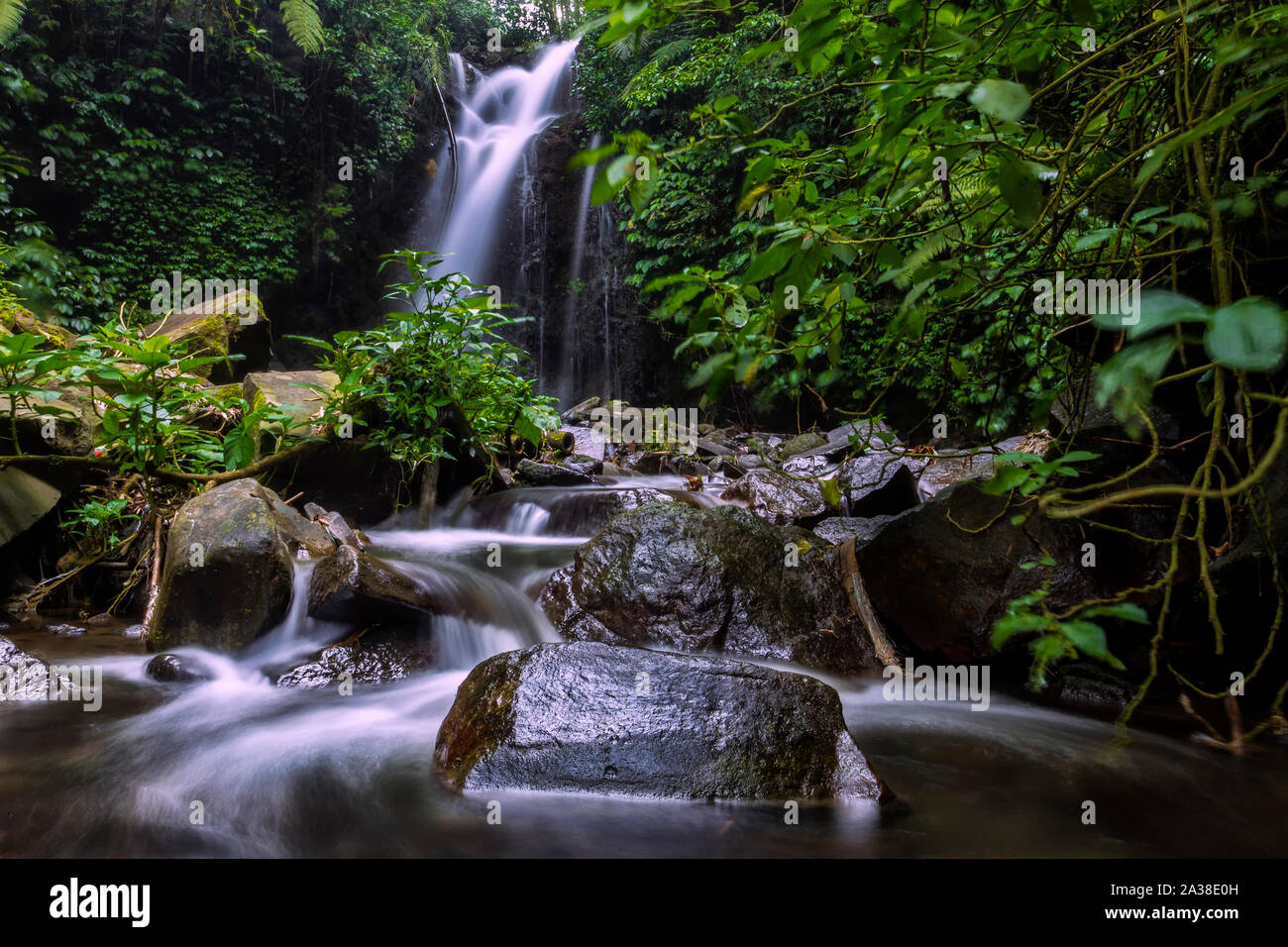 Cascade dans la forêt tropicale, l'Indonésie Banque D'Images