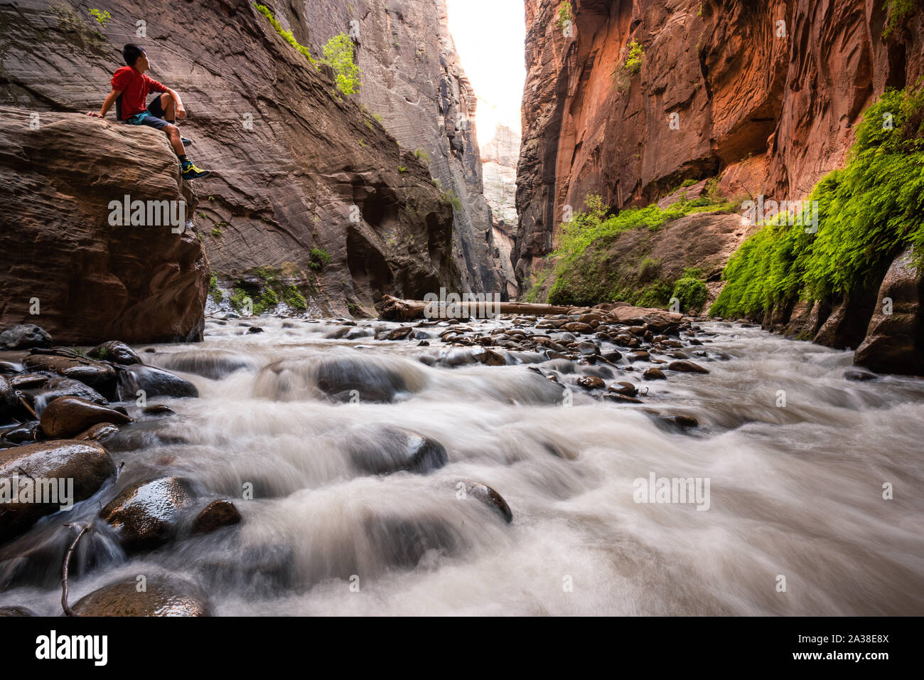 Promeneur assis sur un rocher dans la fente, le Canyon se rétrécit, Zion National Park, Utah, United States Banque D'Images