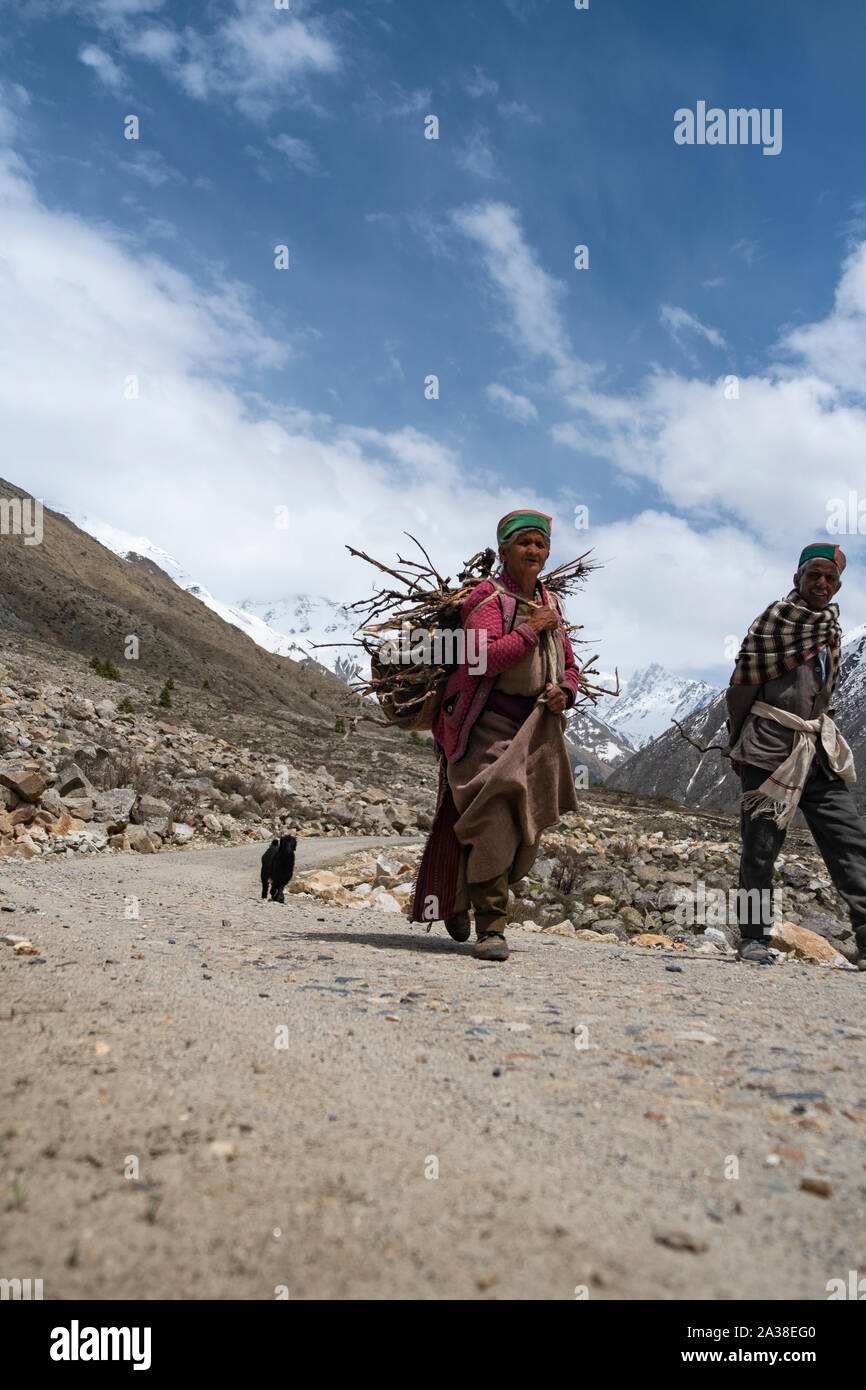 Un vieux couple de retour à la maison en bois de chauffage à Chitkul. Banque D'Images