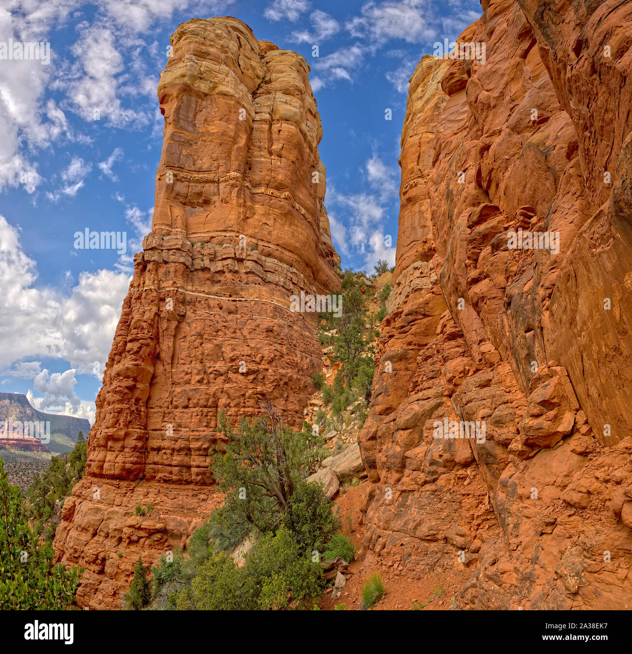 Close-up of the Crimson Cliffs, Sedona, Arizona, United States Banque D'Images