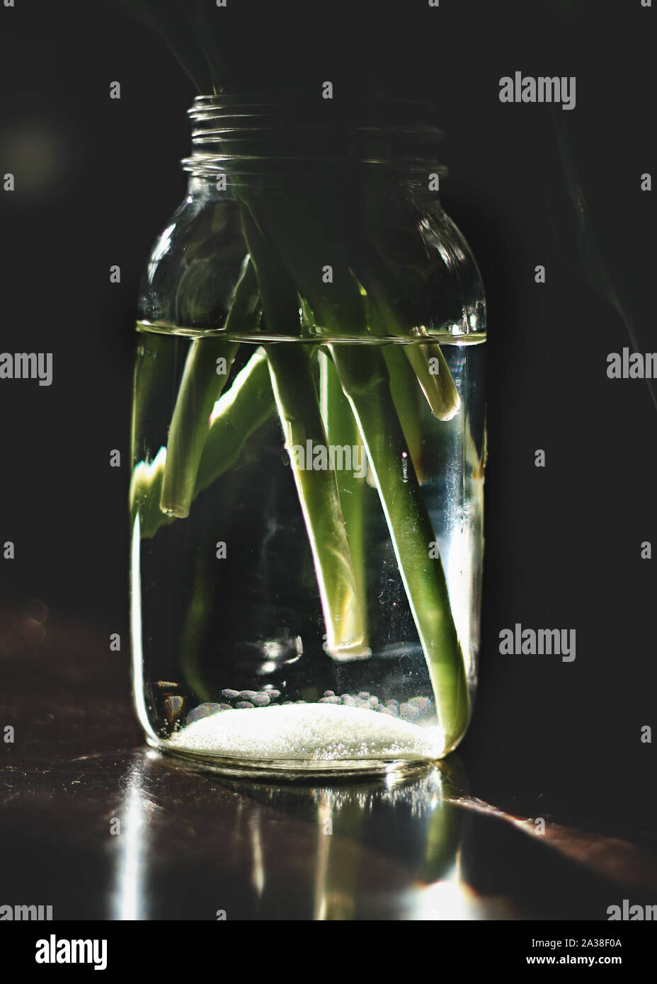 Close-up de tiges florales dans un verre pot Mason Banque D'Images Close-up de tiges florales dans un verre pot Mason Banque D'Images