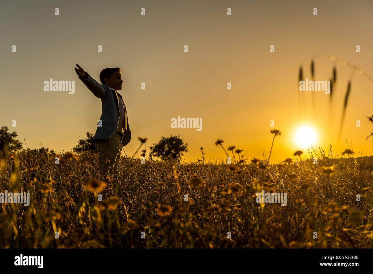 Garçon debout dans un champ au coucher du soleil avec les bras tendus, Espagne Banque D'Images