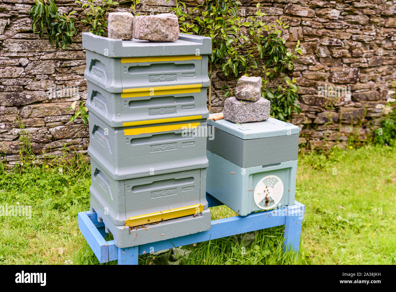 Plastique modulaire BeeBox Finlande ruches de Paradise Honey dans un jardin. Banque D'Images
