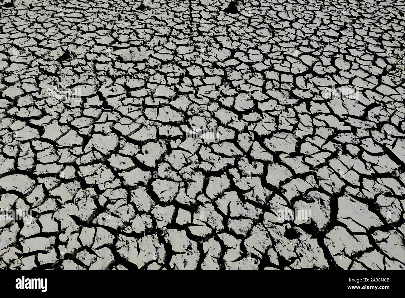 Une grave sécheresse causée par une vague de chaleur de l'été et disposition des fissures du sol. Banque D'Images