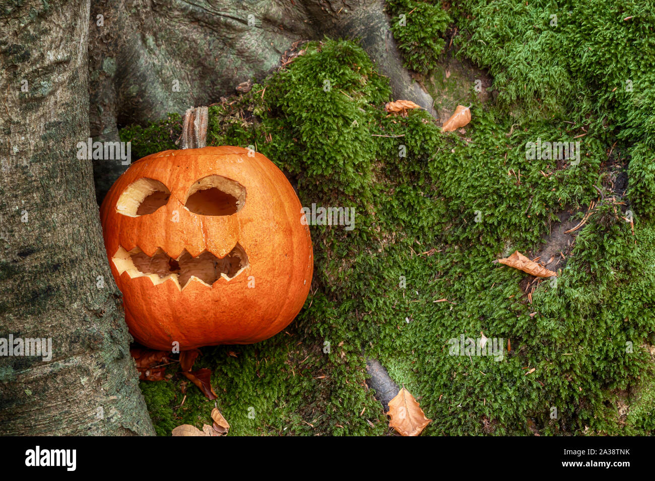 Halloween citrouille avec découpe effrayant visage Banque D'Images