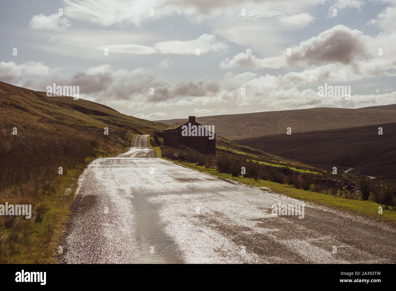 Ancienne grange en pierre et des moutons sur la route dans la région de Birkdale Swaledale sur la B6270 au-dessus Nateby, Yorkshire Dales Banque D'Images