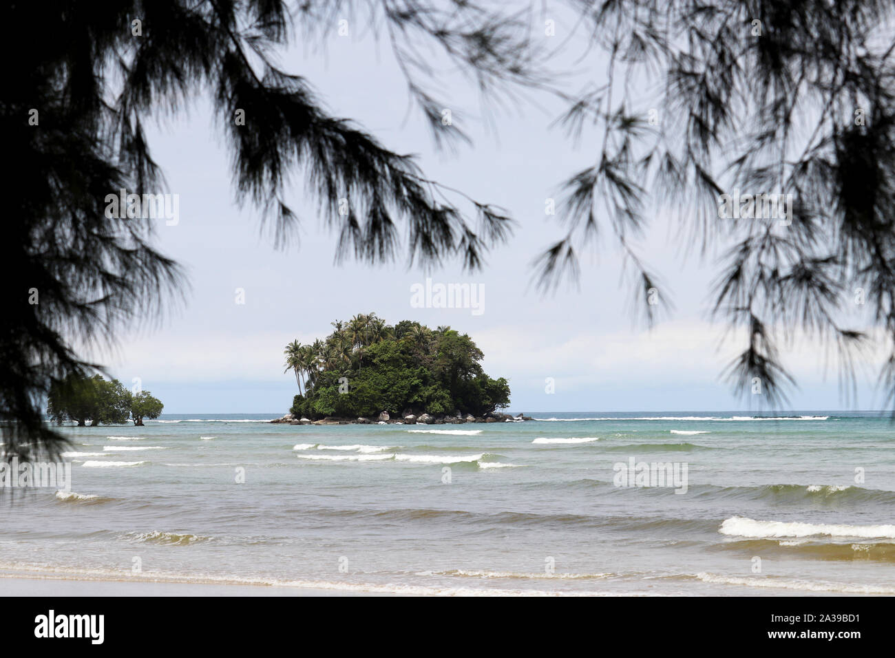 Tropical beach, vue sur le bleu de la mer et l'île verte de palmiers à travers les branches de casuarina, selective focus. Paradise nature background Banque D'Images